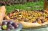 Tarte au pain sucrée raisins frais et romarin ou schacciata des vendanges d'alba pezone