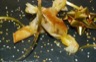 Papillotes de foie gras aux miel et pain d'épices
