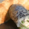 Cannelloni d'huîtres Arcachon Cap Ferret au caviar d'Aquitaine panini d'huître