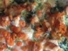 Quiche brocolis saumon crevettes